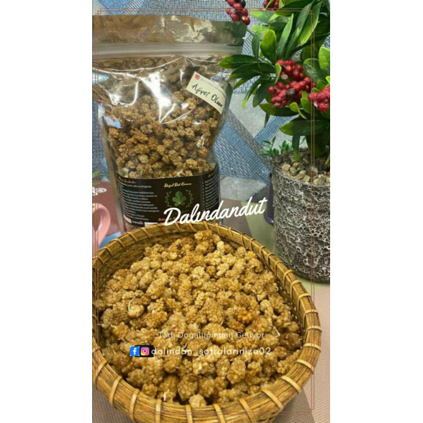 Yeni Mahsül Doğal Kurutulmuş Organik Dut Kurusu 500gr ürün görseli 1