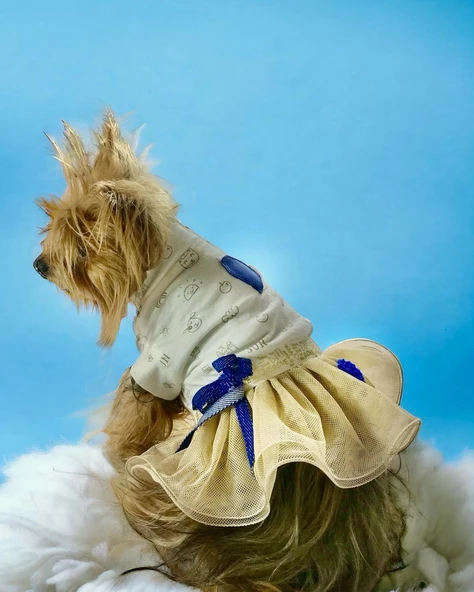 Navy Creamy Tütülü Köpek Elbisesi,  Kıyafeti Tutu ürün görseli 1