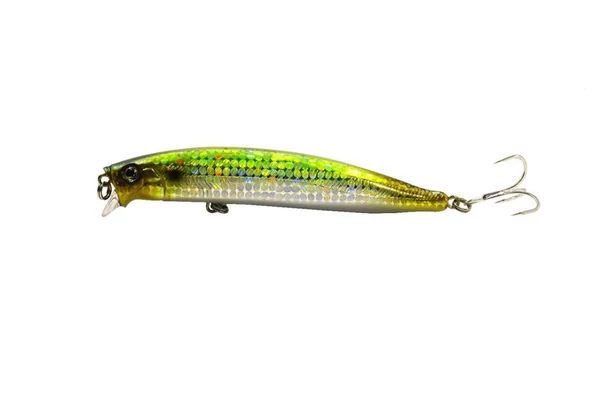 Fujin Punisher 10,5Cm 16Gr Floating Suni Yem - Resim 4