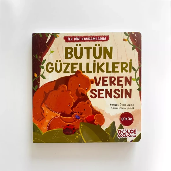 Bütün Güzellikleri Veren Sensin - İlk Dini Kavramlarım (Şükür) ürün görseli 1