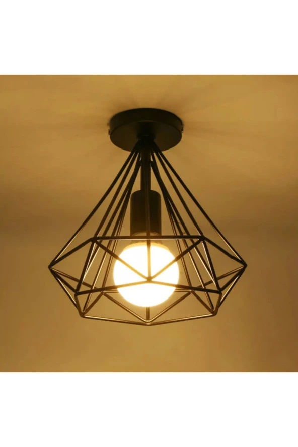 Livora Lighting Prizma Siyah Rustik Tekli Avize - Resim 2