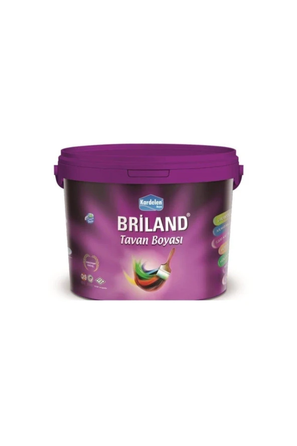 Beyaz Briland Tavan Beyaz 18 kg ürün görseli 1