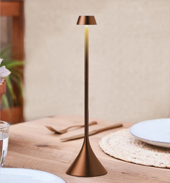 Lexon Steli Shade Led Masa Lambası Bronz - Resim 7