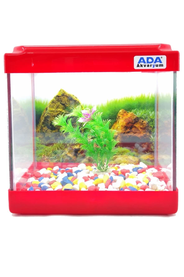 Mini Akvaryum Kırmızı 20x20x15 Akvaryum  Renkli Çakıl  Plastik Bitki Arka Fon ürün görseli 1