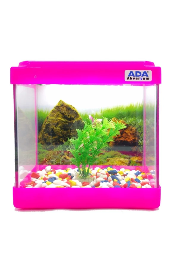 Mini Akvaryum Pembe 20x20x15 Akvaryum  Renkli Çakıl  Plastik Bitki Arka Fon ürün görseli 1