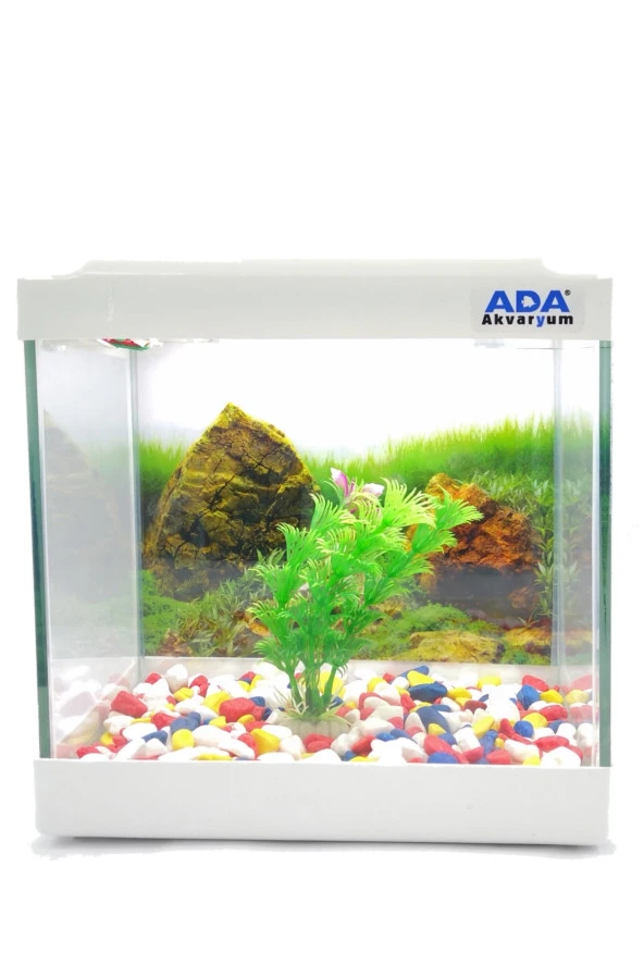 Mini Akvaryum Beyaz 20x20x15 Akvaryum  Renkli Çakıl  Plastik Bitki Arka Fon ürün görseli 1