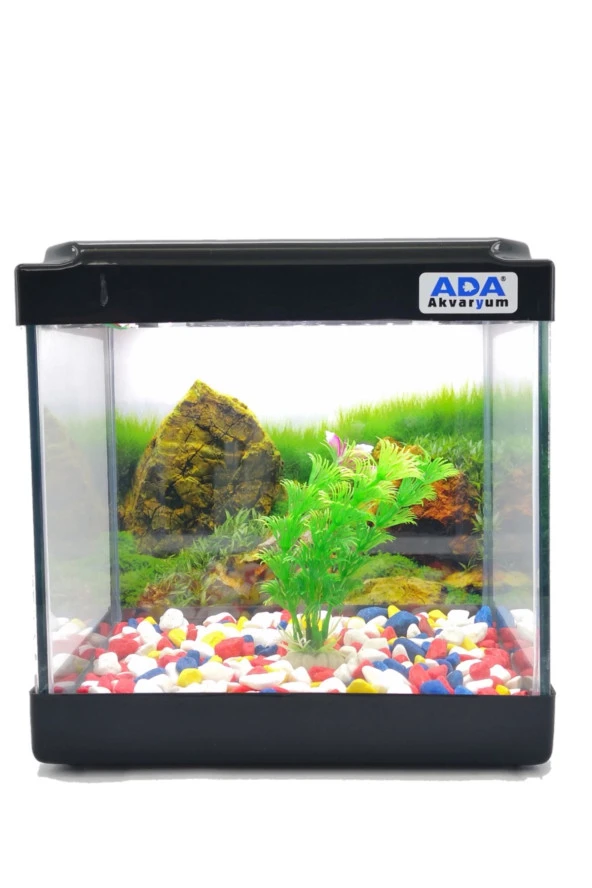 Mini Akvaryum Siyah 20x20x15 Akvaryum  Renkli Çakıl  Plastik Bitki Arka Fon ürün görseli 1