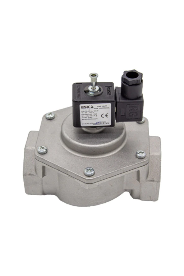 Eska EGV 11/4" Selenoid Vana 220 V ürün görseli 1