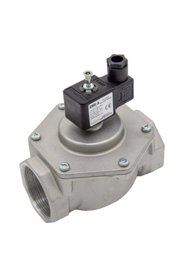 Eska EGV 11/4" Selenoid Vana 220 V - Resim 2
