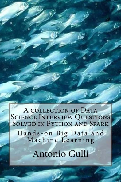 A collection of Data Science Interview Questions Solved in Python and Spark: Hands-on Big Data and Machine Learning (A Collection of Programming Interview Questions) Antonio Gulli ürün görseli 1