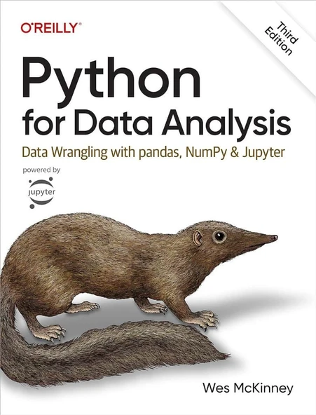 Python for Data Analysis: Data Wrangling with pandas, NumPy, and Jupyter 3rd Edition Wes McKinney ürün görseli 1