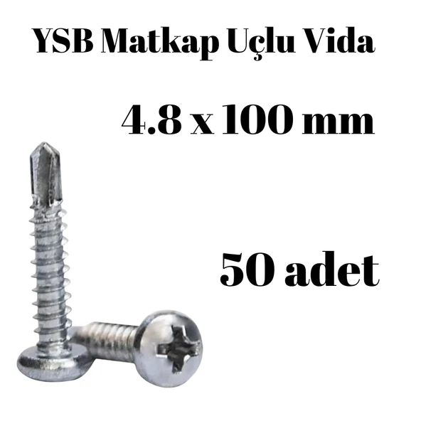 Yıldız Silindir Başlı 4.8X100 YSB Matkap Uçlu Akıllı Vida 50 Adet ürün görseli 1