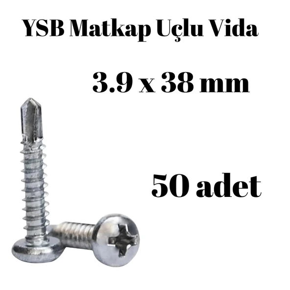 Yıldız Silindir Başlı 3.9X38 YSB Matkap Uçlu Akıllı Vida 50 Adet ürün görseli 1