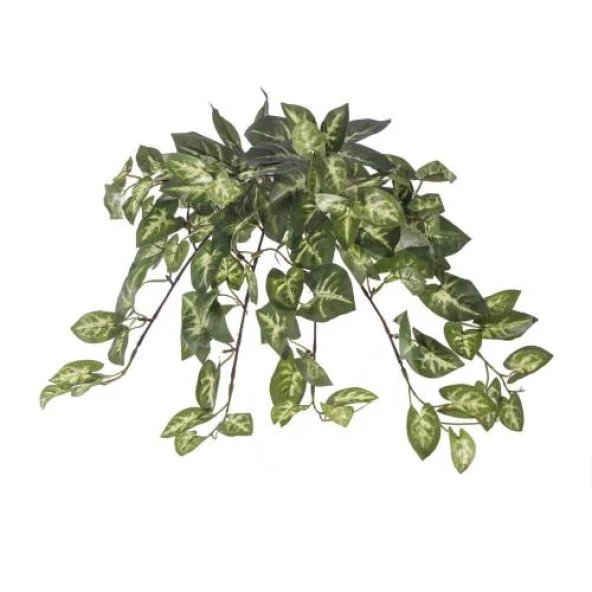 Euro Flora Yapay Sarmaşık Sygonıum Demet 42 Cm ürün görseli 1