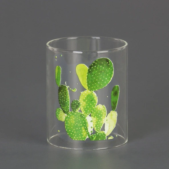 Euro Flora Kaktüs Desenli Cam Mumluk 8,5 x 13 cm ürün görseli 1