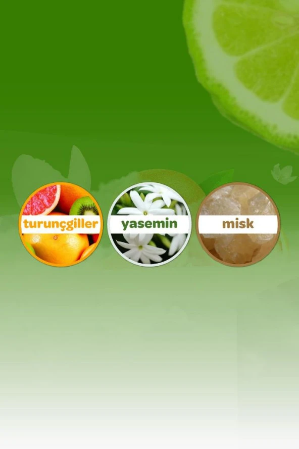 Dalin Kolonya Orman Esintisi 150 ml - Resim 3