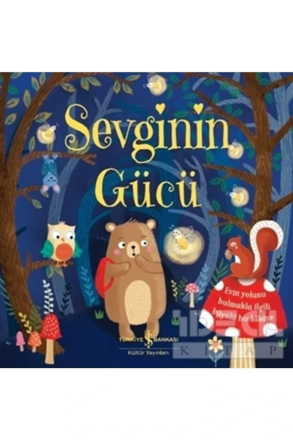 Sevginin Gücü ürün görseli 1