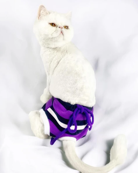 Modern Purp Kemique's Secret Kedi İç Çamaşırı  Regl Külot  Don ürün görseli 1