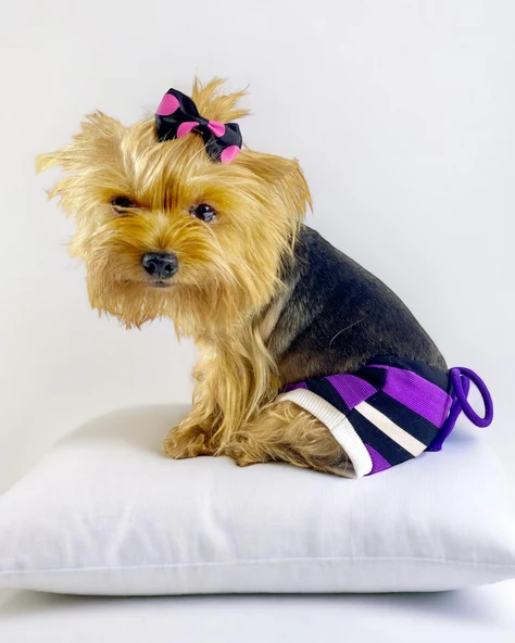 Modern Purp Kemique's Secret Köpek İç Çamaşırı Regl Külot Don ürün görseli 1