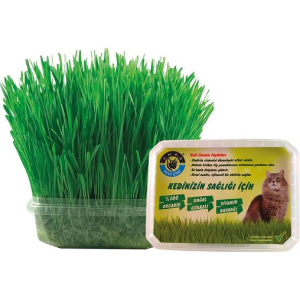 Amon Organik Kedi Çimi (Koruma Fileli) ürün görseli 1