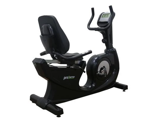 Proforce Yatay Bısıklet Zp 1100 ürün görseli 1