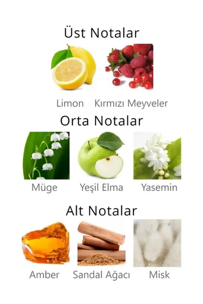 Aqua Di Polo Forever Love Kadın Parfümü (50ml) - Romantik & Çekici Koku ürün görseli 1