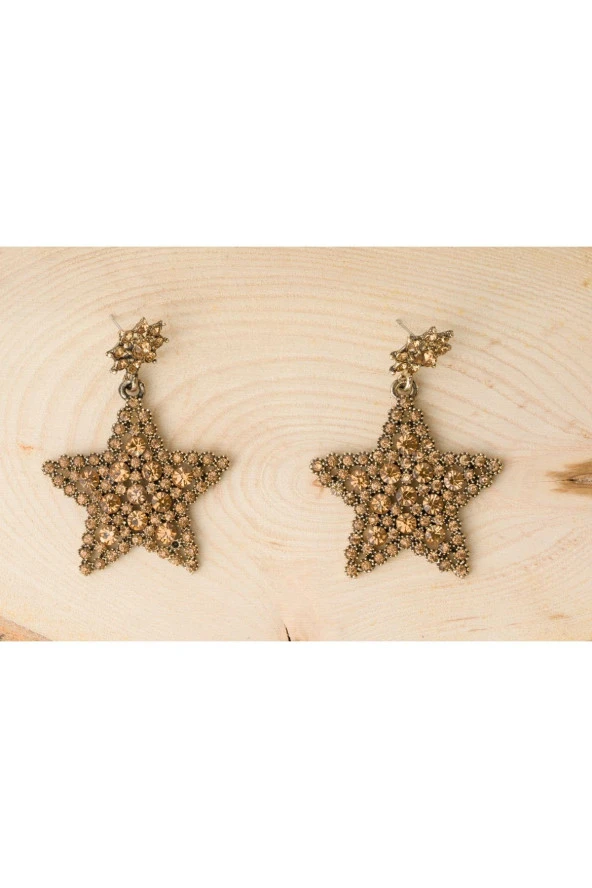 Zirkon Taşlı Yıldız Model Bijuteri Gold Küpe ürün görseli 1