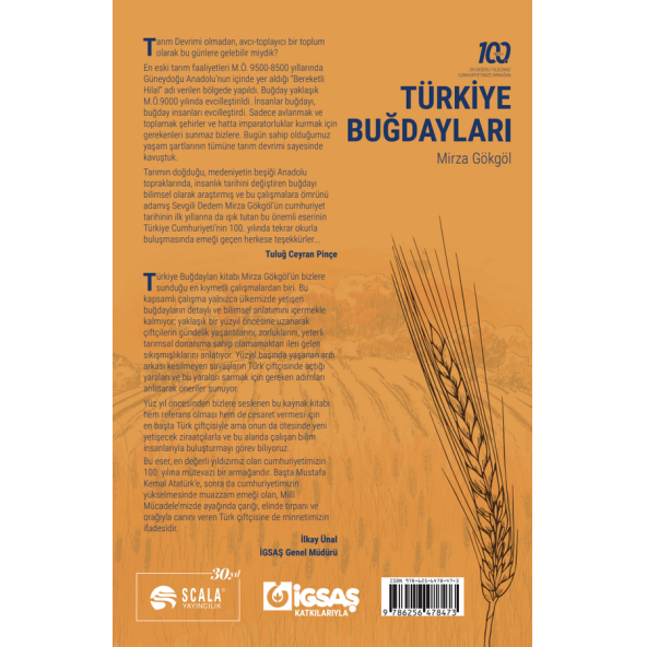 Türkiye Buğdayları 2.Cilt - Resim 2