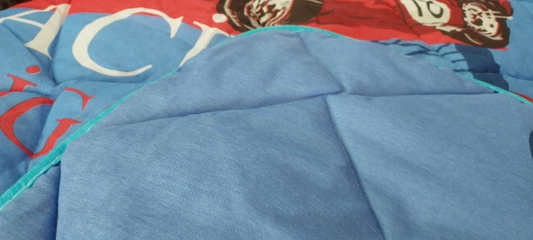Tek Kişilik Yarış Arabalı  Baskılı  Silikonize Yorgan ürün görseli 1