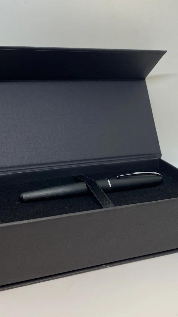 DivitPen Bluuuz Crow Feather Dolma Kalem - Resim 3