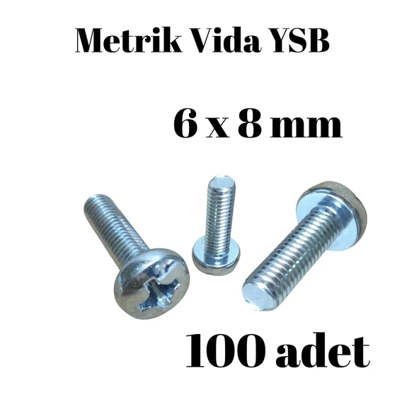 Metrik Vida YSB 6X8 100 Adet Yıldız Silindir Başlı Vida ürün görseli 1