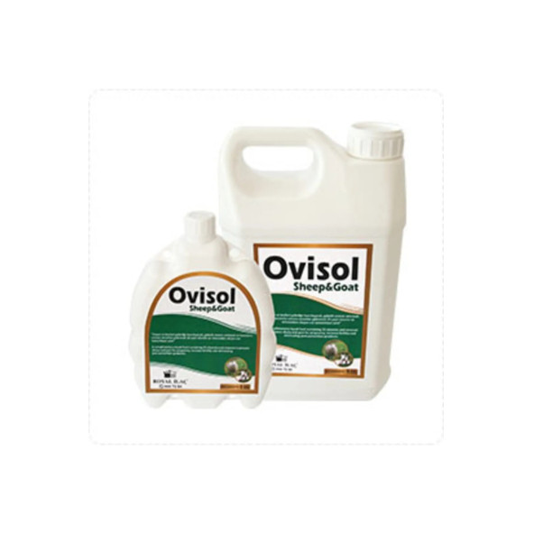 Royal İlaç Ovisol Sheep & Goat 1 Lt Koyun ve Keçiler Için Sıvı Yem Katkısı ürün görseli 1