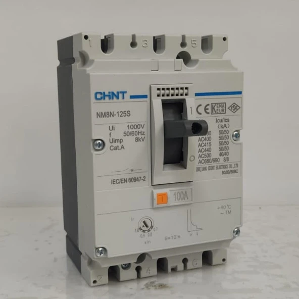 Chint - NM8N-125S TM100 3P 100A Ayarsalı Kompakt Şalter ürün görseli 1