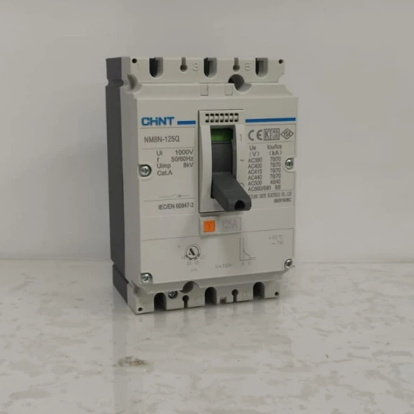 Chint - NM8N-125Q TM/125 3P 125A Ayarsalı Kompakt Şalter ürün görseli 1