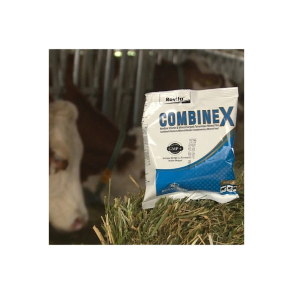 Royal İlaç Rovita Combınex Kombine vitamin mineral karışımlı tamamlayıcı mineral yem 100 gr ürün görseli 1