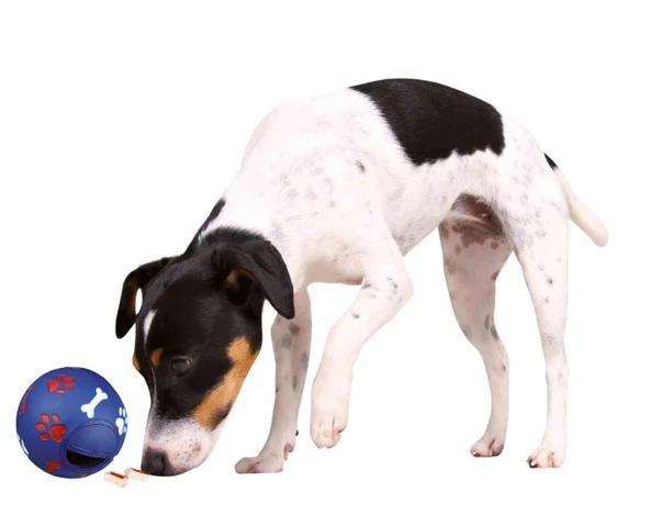 Trixie Köpek Ödül Topu , Ø 11 cm - Resim 5