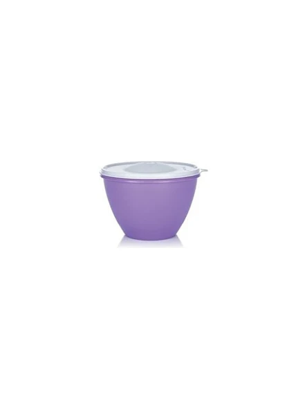 Tupperware 1.9 Litre Uzun Saklama Kabı - Resim 2