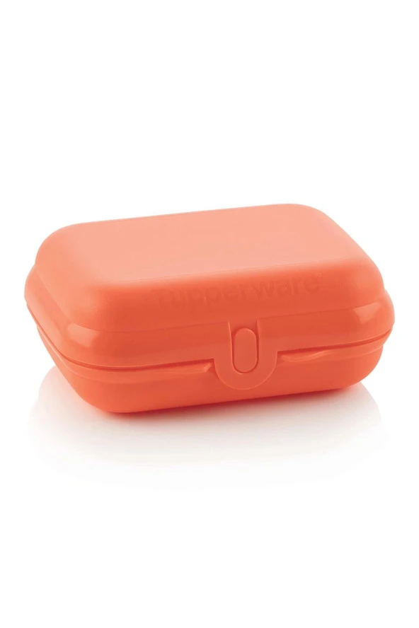 Tupperware Eko Küçük Taşıma Kabı Turuncu ürün görseli 1