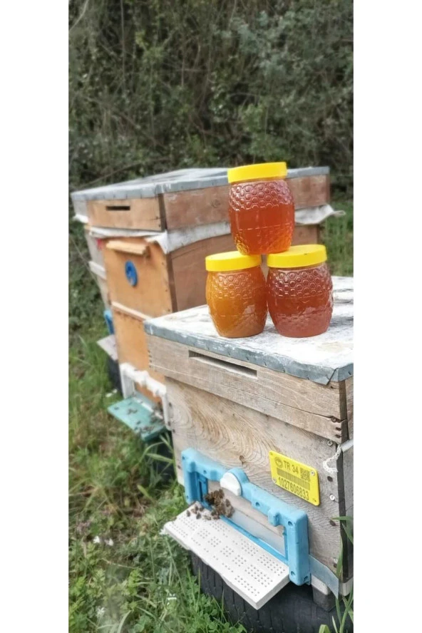 Doğal 1kg Çiçek Balı - Resim 2