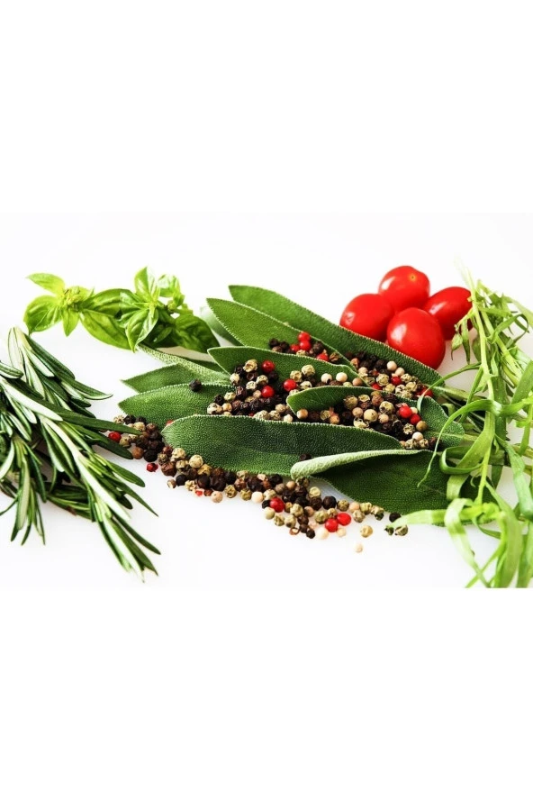 Taze Biberiye(rozmarin)-(2 Paket) - Resim 2