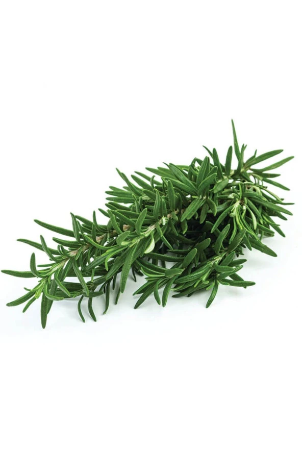 Doğal Taze Biberiye 90 gr Fresh Rosemary ürün görseli 1