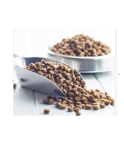 Preminyum Kedi Kuru Maması Tavuklu 1 Kg ürün görseli 1