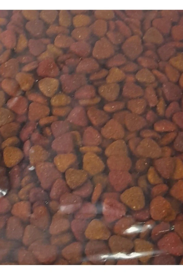 Renkli Kedi Maması Tavuklu 3 Kg ürün görseli 1