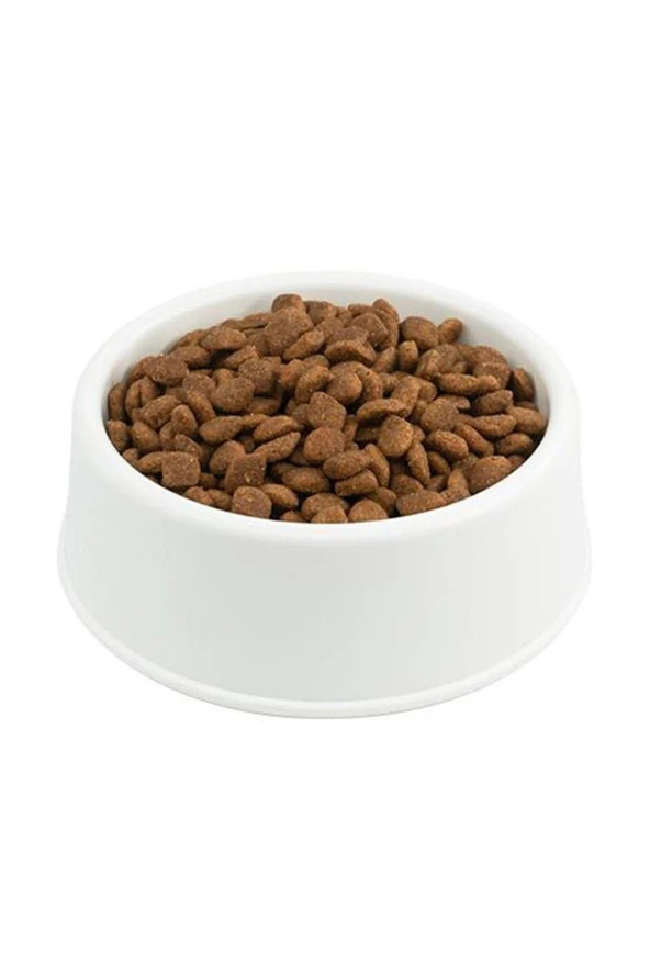 Tavuklu Kedi Maması 3 Kg - Resim 4