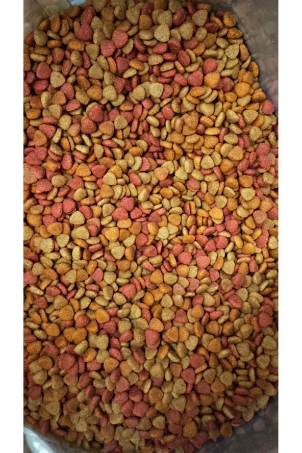 Gurme Kedi Maması Renkli Taneli Tavuk-balık-kuzuetli 1kg ürün görseli 1