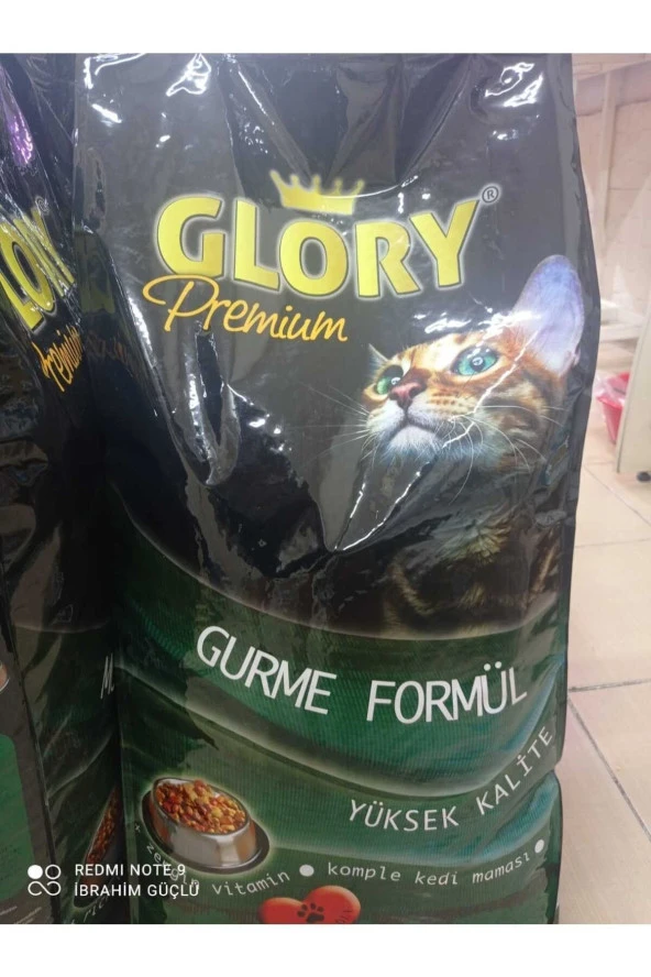 GLORY KEDI KURU MAMA 2 KG ürün görseli 1