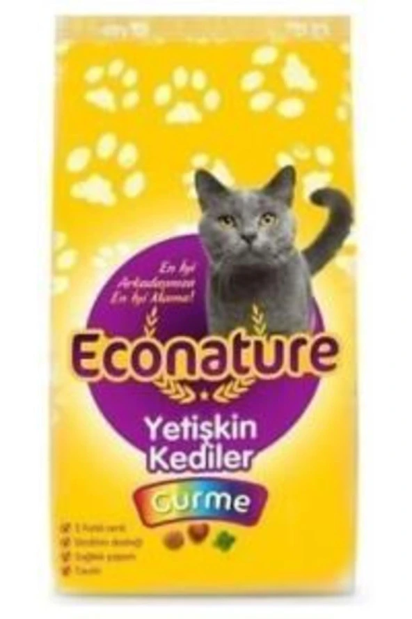 Gurme Yetişkin Kedi Maması 1 Kg ürün görseli 1
