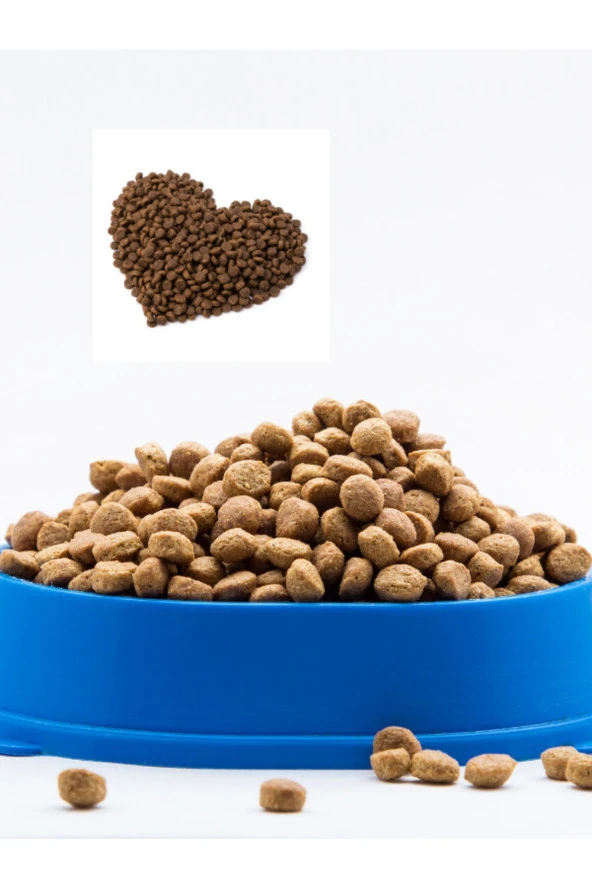 3 Kg Yetişkin Kedi Maması Gurme-tavuk-kuzu ürün görseli 1
