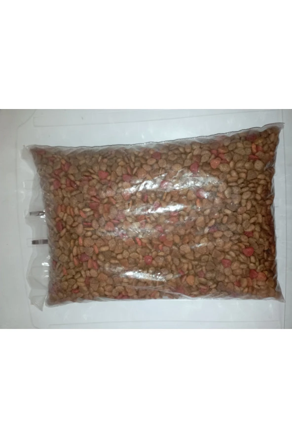 Kedi Maması 1 Kg - Resim 3