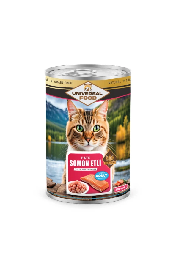 Kedi Konservesi - Exquisite Pate Somon Etli Kedi Konserve 400g X 15 ürün görseli 1
